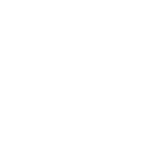 Digital Geek Pro